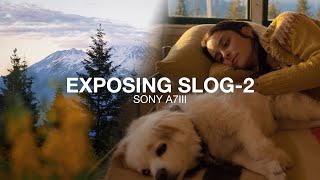 How to PROPERLY EXPOSE SLOG2  Sony a7iii Tutorial [upl. by Burny]