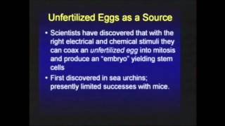 Stem Cells amp the Nephilim  Chuck Missler  Full [upl. by Nauqel]