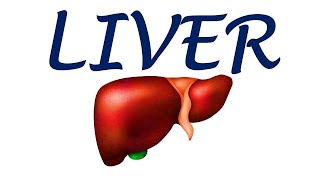 Chp23  Anatomy of LIVER  BD Chaurasia Vol2  Dr Asif Lectures [upl. by Lledal]