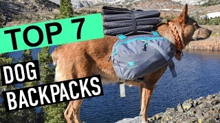 BEST DOG BACKPACKS 2020 [upl. by O'Dell]