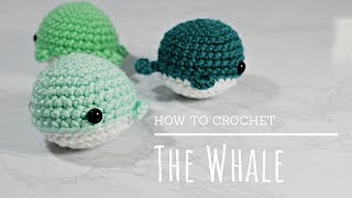 How To Crochet  Easy Beginners Amigurumi Whale Tutorial [upl. by Enilrahc472]