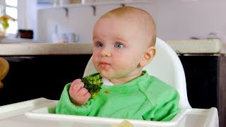 Babyled weaning basics [upl. by Millie]