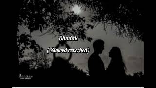 Dhadak song ❤️  slowed reverbed [upl. by Nell383]