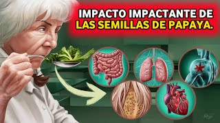 Descubre los Milagros de las Semillas de Papaya 14 Beneficios para la Salud Después de los 50 [upl. by Melar653]