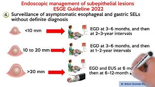 Endoscopic management of subepithelial lesions amp neuroendocrine neoplasms ESGE Guideline 2022 [upl. by Wolfie]