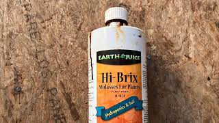 Hydro Organics Hi Brix Molasses For Plants Honest Review [upl. by Beitz]