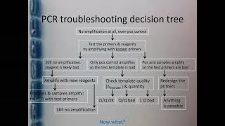 PCR amp qPCR Troubleshooting  Part 4 [upl. by Rocco972]