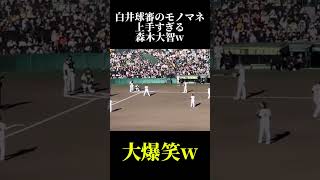 【大爆笑】白井球審のモノマネが上手すぎる森木大智www shorts 白井球審 森木大智 ファン感謝デー [upl. by Retsek]