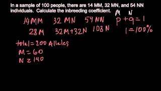 How to calculate the inbreeding coefficient [upl. by Doty]