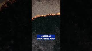 Hurricane Survival in Florida Early Warning Smart Actions 🌪️ [upl. by Ardin642]