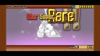 Battle cats superfest 11 draws [upl. by Bock]