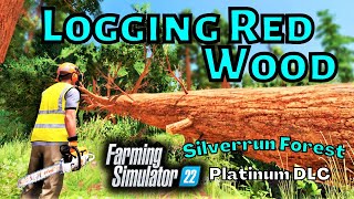 FS22 Logging Redwood  Platinum Expansion  Silverrun Forest  WStatic Camera [upl. by Ramgad266]