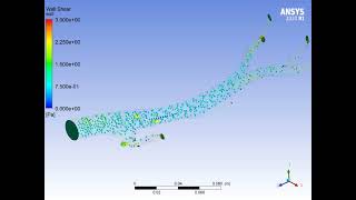 pathline  Aorta NonNewtonian pulsating blood flow ANSYS Fluent Simulation Training [upl. by Lasser299]