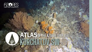 Kurchatov SW Seamount  ATLAS of the Azores Deep Sea [upl. by Riba]