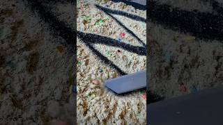 Crevice Tool • Fine Dirt Mix • Playful Micd Passes 🩶😋 asmr vacuuming [upl. by Leventhal]