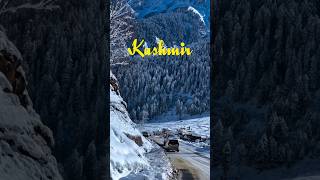 Kashmir Tour Plan Budget  Kashmir Vlog  shorts [upl. by Nwad]