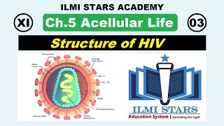 Structure of HIV Class 11 Biology Chapter 5 Acellular Life [upl. by Enirod445]