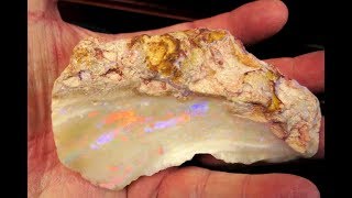 Huge Rough Specimen Olympic Field Opal from Coober Pedy [upl. by Ycniuq]