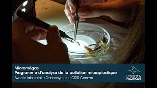 ENGFR Micromégas  Programme danalyse de la pollution microplastique [upl. by Ttimme942]