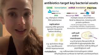 Antibiotic types amp resistance mechanisms an overview [upl. by Thea]