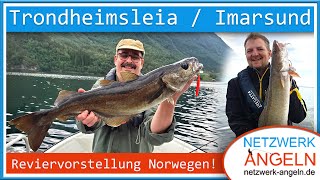 Angeln in Norwegen  Trondheimsleia  Imarsund [upl. by Cranston]