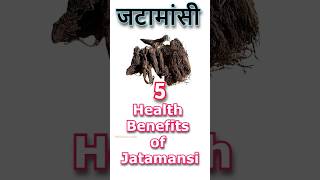 Jatamansi benefits hair skincare shortvideo healthconscious shorts winter science ayurveda [upl. by Anwahsar27]