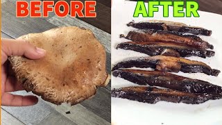 How To Cook THE PERFECT Portobello Mushroom  SO DELICIOUS [upl. by Nnairam]