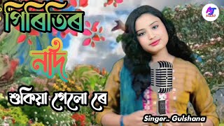 piritir nodi sukiya পিৰিতিৰ নদী শুকিয়া গেইছে। goalparia new song bhawaya gaanSinger Gulshana [upl. by Hallimaj]