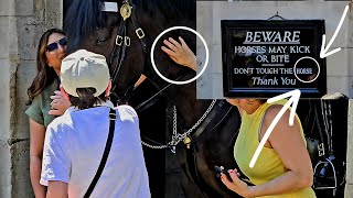 From Today On It Is Not Allowed To Touch the King Horses When Visiting the Horse Guards in London 🚫 [upl. by Nhguavad962]