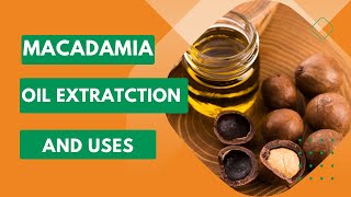 Learn about Macadamia oil quotthe good oilquot extraction and its uses [upl. by Nador282]