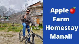 Apple 🍎 Farm Homestay Manali  Best Homestay in Manali [upl. by Rehteh]