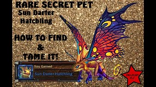 Rare Secret Pet  Sun Darter Hatchling  How to FIND amp TAME it [upl. by Aicined375]