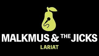 Stephen Malkmus amp The Jicks  Lariat Karaoke [upl. by Dnallor]