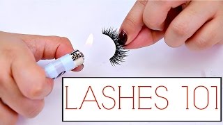 False Lashes Tips And Tricks For Beginners  The how to guide for Lashes [upl. by Nanahs]