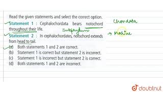 Read the given statements and select the correct option Statement 1  Cephalochordate bears not [upl. by Nnybor]