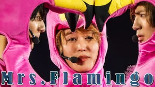 HiHi Jets「MrsFlamingo」（Arena Tour 2024 BINGO） [upl. by Ninehc]