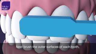 How to Brush Your Teeth Animation MCM [upl. by Hogg]