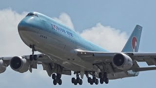 38架次飛機起降特寫｜桃園機場 Plane Spotting TPERCTP [upl. by Reace]