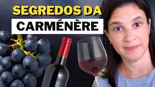 Carménère todos os segredos dessa uva e dos seus vinhos [upl. by Tabor]