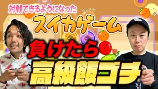 【対決！スイカゲーム】初心者リリーVS経験者盛山！負けたら高級飯をゴチ！ [upl. by Annaujat]