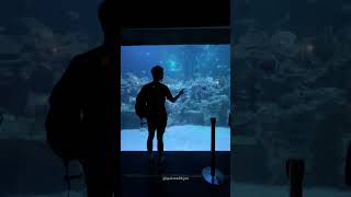 Explore Aquaria KLCC Malaysia [upl. by Llevron]