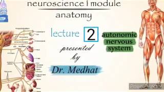 Anatomy  Dr Medhat  ANS module104  Lec 2 [upl. by Idner]