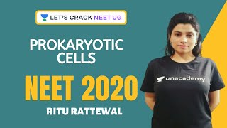 Phoenix 20 Biology Most Important Video for NEET 2025  Udaan [upl. by Ardnikat]