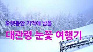 대관령 눈꽃 여행기 Daegwallyeong Snowflake Travel Gangwondo Korea [upl. by Eerrehc]