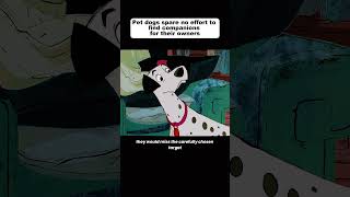 Dalmatian dog looking for companion for owner cartoonvideo xiaolinshowdown animatedfilmsshorts [upl. by Good]