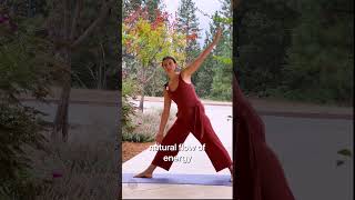 Optimize Alignment to Deepen Your Experience of Yoga [upl. by Modeste]