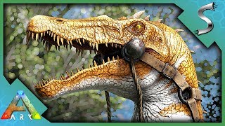 BARYONYX TAMING amp BREEDING  OUR SECOND ARTIFACT QUEST  Ultimate Ark E8  The Island [upl. by Hall968]