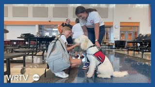 Meet Pearl  Clark Pleasants therapy dog [upl. by Lehman]