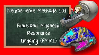 Functional Magnetic Resonance Imaging fMRI explained  Neuroscience Methods 101 [upl. by Vassell527]