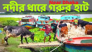 নদীর ধারে হযরতপুর হাটে গরু যেভাবে আনানেয়া করা হয়  Hazratpur Paragram Gorur Haat [upl. by Anead]